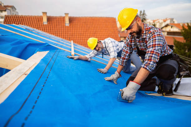 Best Roof Repair Services  in Millbrae, CA