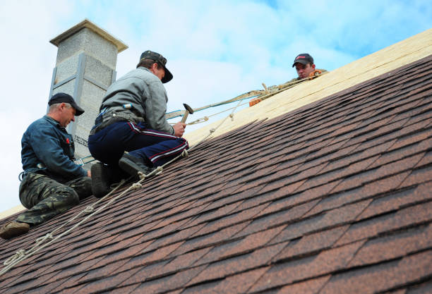 Best Local Roofing Companies  in Millbrae, CA